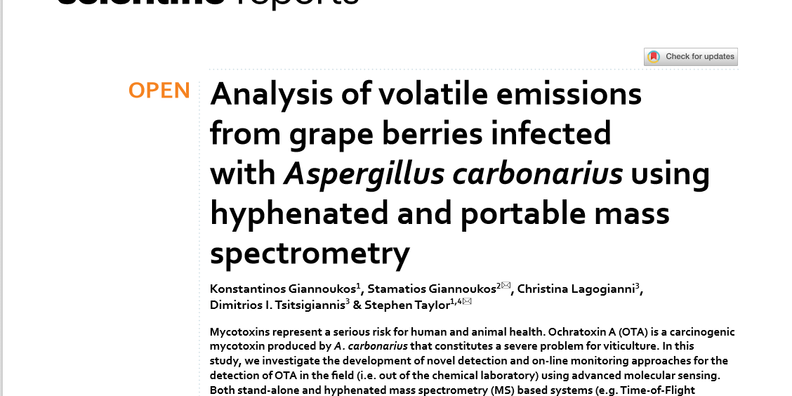 Screenshot 2020-12-13 234543