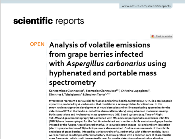 Screenshot 2020-12-13 234543