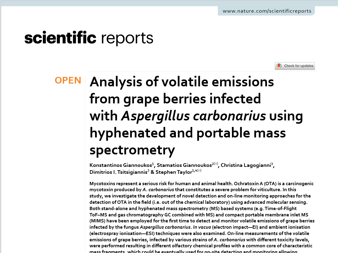 Screenshot 2020-12-13 234543